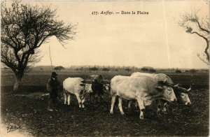 CPA AUFFAY Dans la Plaine (868909)