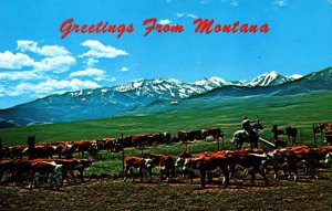 USA Greetings From Montana Chrome Postcard 09.85