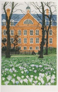 Working Mens College Mornington Crescent London Painting Postcard