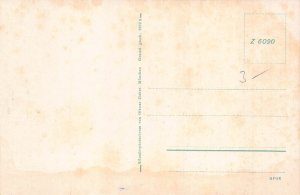 Germany Eibsee bei Garmisch-Partenkirchen Lake vintage postcard