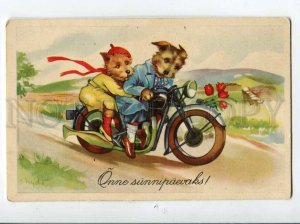 3058229 Dressed TERRIERS on MOTORCYCLE vintage Comic