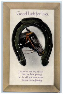 1913 Good Luck Horseshoe Horse Head Embossed Norwich Connecticut CT Postcard