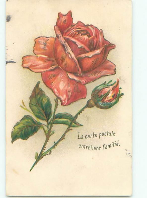 Very Old Foreign Postcard BEAUTIFUL FLOWERS SCENE AA4917