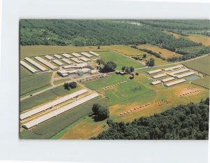 Postcard Aerial View of Plainville Turkey Farm Inc. Plainville New York USA