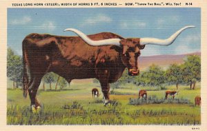 Texas Longhorn, Steer Longhorn Steer Bull Unused 