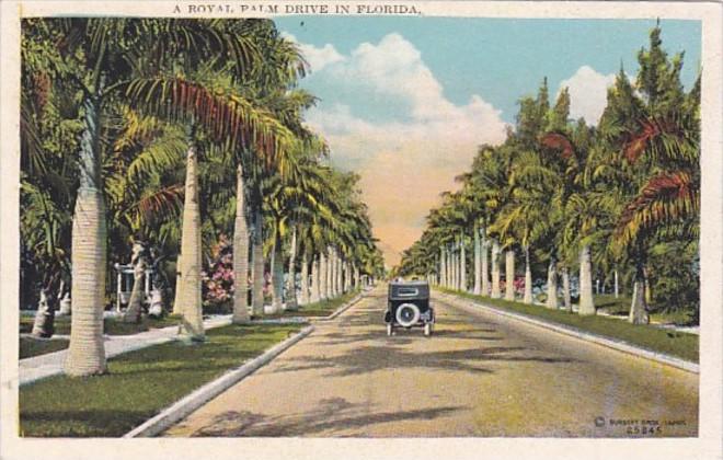 Florida A Royal Palm Drive