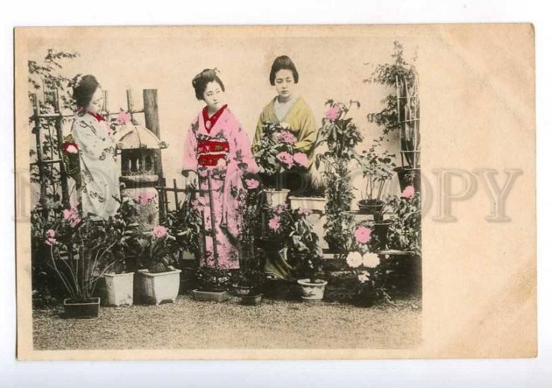 213864 JAPAN Geisha girls in kimono Vintage tinted postcard