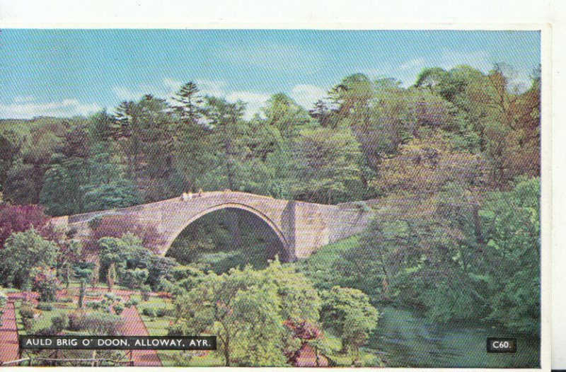 Scotland Postcard - Auld Brig O´ Doon - Alloway - Ayrshire -  Ref 19999A