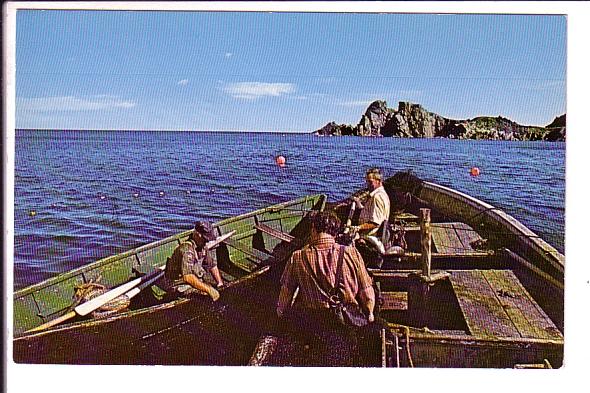 Fishermen Pulling Nets, Brigus Harbour, Conception Bay, Newfoundland, Photo P...