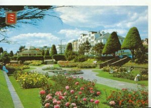 Essex Postcard - The Sunken Gardens - Clacton-on-Sea - Ref TZ3514