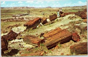 People walking through Petrified National Forest with 1960s cars in distance AZ