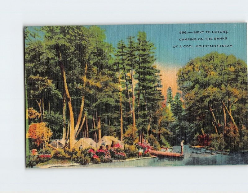 Postcard Next To Nature Camping On The Banks Of A Cool Mountain Stream