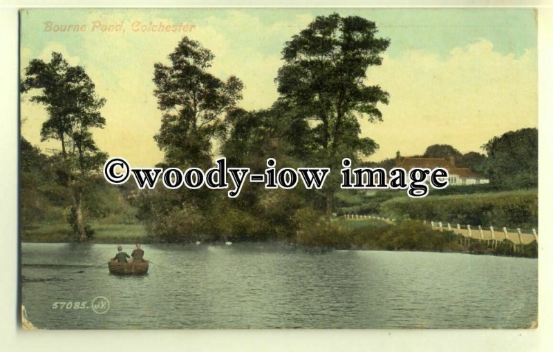 tp0610 - Essex - Couple Rowing across Bourne Pond c1910, Colchester - postcard