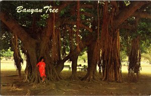 Banyan Tree Lahaina Maui Hawaii Vintage Standard View Postcard 