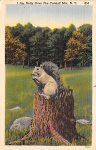 I Am Nutty Catskill Mts Squirrel Chipmunk Unused 