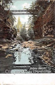 Suspension Bridge Watkins Glen, NY, USA Unused 