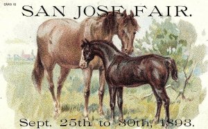 1893 Horses, San Jose Fair, Ca. Victorian Trade Card P34