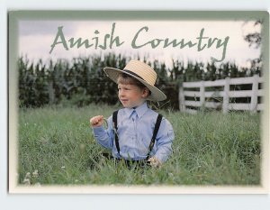 Postcard Amish Country, Pennsylvania