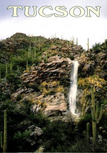 Arizona Tucson Santa Catalina Mountains Showing Waterfall and Saguaro Cactus