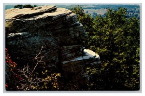 Old Stone Face South Of Harrisburg Illinois Postcard