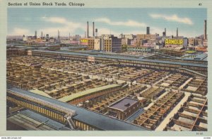 CHICAGO, Illinois, 1930-40s;  Union Stock Yards, Cattle # 4