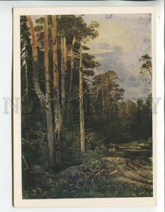 457822 USSR 1964 year Savrasov Forest road in Sokolniki old postcard