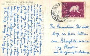 Romania Postcard vedere de pe plaja lacului din statiunea Baile Amara