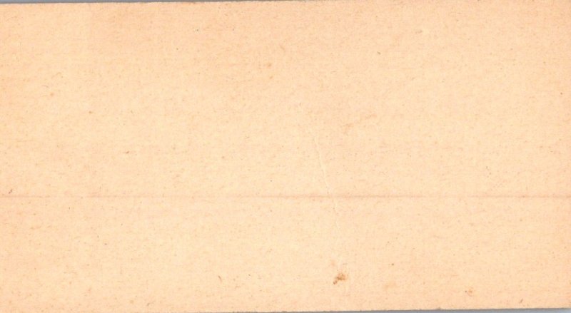 Lille E Carr Lynn MA Dressmaker Designer Fancy Costumes business card c1900