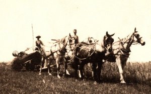 RPPC Farmers with Team of Horses in Field AZO 1904-1918 ANTIQUE Postcard 1478