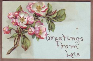 Greetings from Lois hand glittered german postcard TP&C