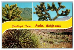 c1960s Greetings From Indio Caactus View California CA Unposted Vintage Postcard