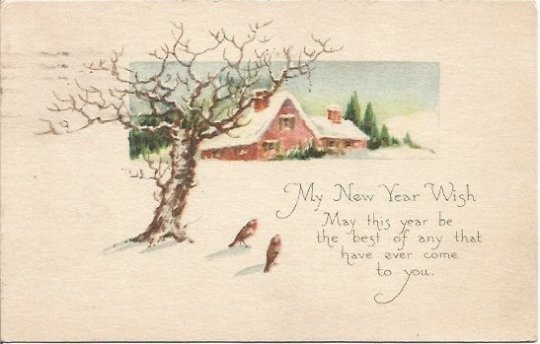 Vintage Postcard, Birds in Meadow Beautiful Winter Scene New Years Wish New Year