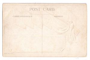 WWI Flags of the Allies Rifle Embossed Patriotic Postcard