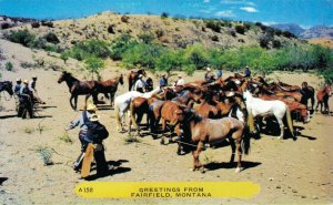 USA Greetings From Fairfield Montana Vintage Postcard 07.31