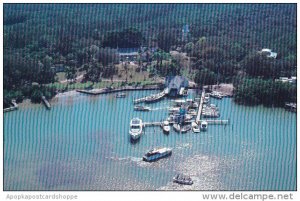 Florida Pineland Historical Cabbage Key