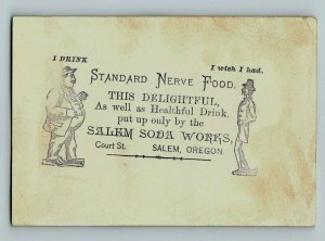 1880's-90's Salem Soda Works Healthful Drink Snowy Owl Forest Night P158 