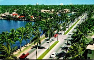 Florida Fort Lauderdale Royal Palms Along Las Olas Boulevard