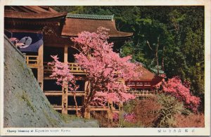 Japan Cherry Blossoms At Kiyomizu Temple Kyoto Vintage Postcard C205