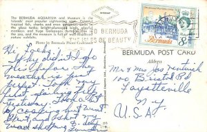 Bermuda Aquarium and Museum Bermuda Postcard