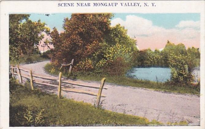 New York Country Scene Near Mongaup Valley