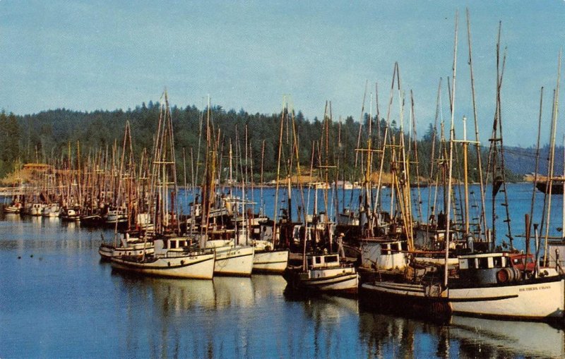 Yaquina Bay, Newport, Oregon Fishing Boats Harbor c1950s Vintage Postcard