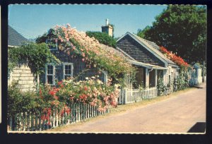 Nantucket Island, Massachusetts/MA Postcard, Rose Covered Cottages, Cape Cod