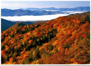 Great Smoky Mountains National Park Autumn Colors Fall Foliage