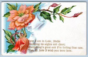 1909 HERE I am in LAKE IDAHO WISH YOU WERE HERE EMBOSSED ANTIQUE POSTCARD