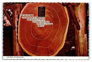 Postcard Cross Section of Giant Redwood Tree CA 1978 K18
