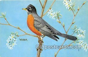 North American Robin Unused 
