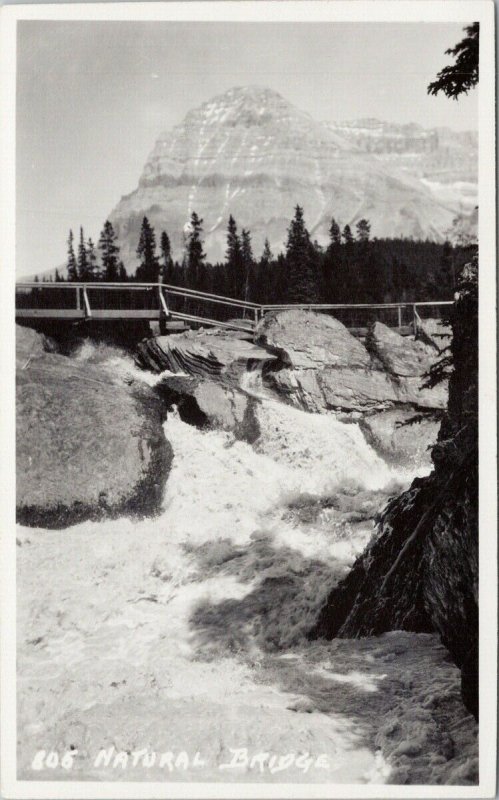 Natural Bridge Field BC Byron Harmon 805 Unused Real Photo Postcard F49