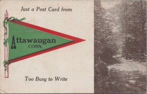 Postcard Just A Post Card From Attawaugan CT Too Busy to Write