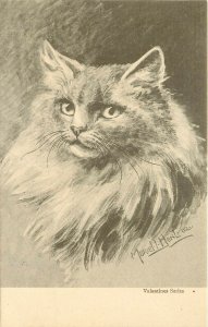 A/S Muriel Hunt Postcard; Long Haired Silver Gray Cat Portrait, Valentine's Ser.