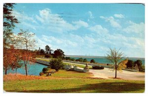 Postcard DAM SCENE Newport News Virginia VA AU2645